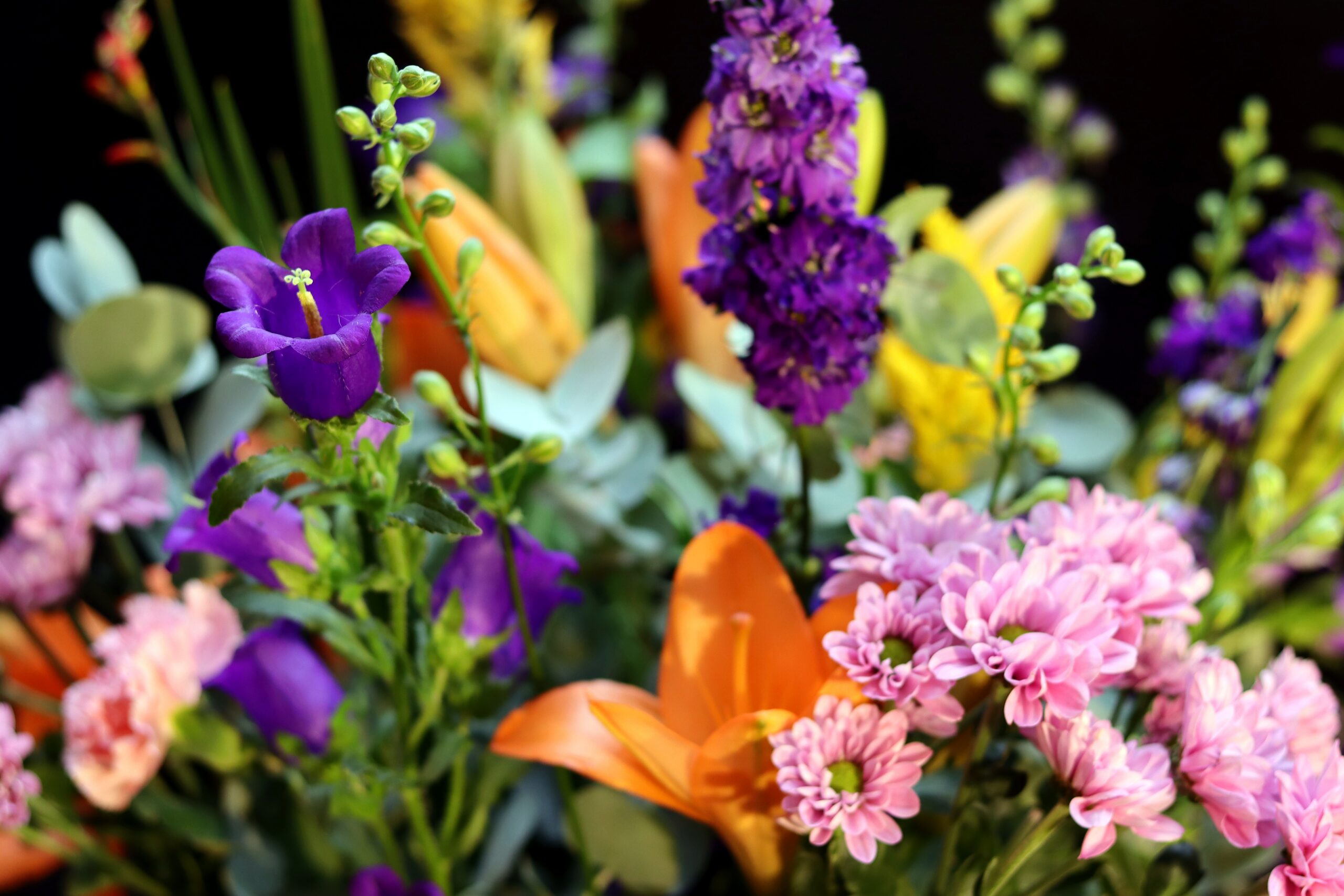 Scherpe close-up van een paarse klokjesbloem (campanula) met wazige oranje lelies op de achtergrond